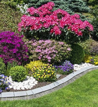 Landscaping Shrubs | Lawn Care Maintenance in Avon, OH