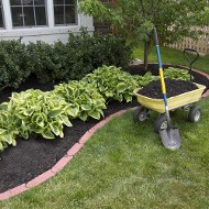 Pine Straws and Mulch | Lawn Care Services in Avon, OH